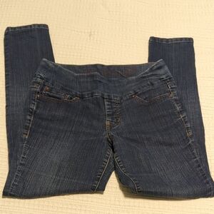 Jag Jeans Dark Blue Skinny Jeans